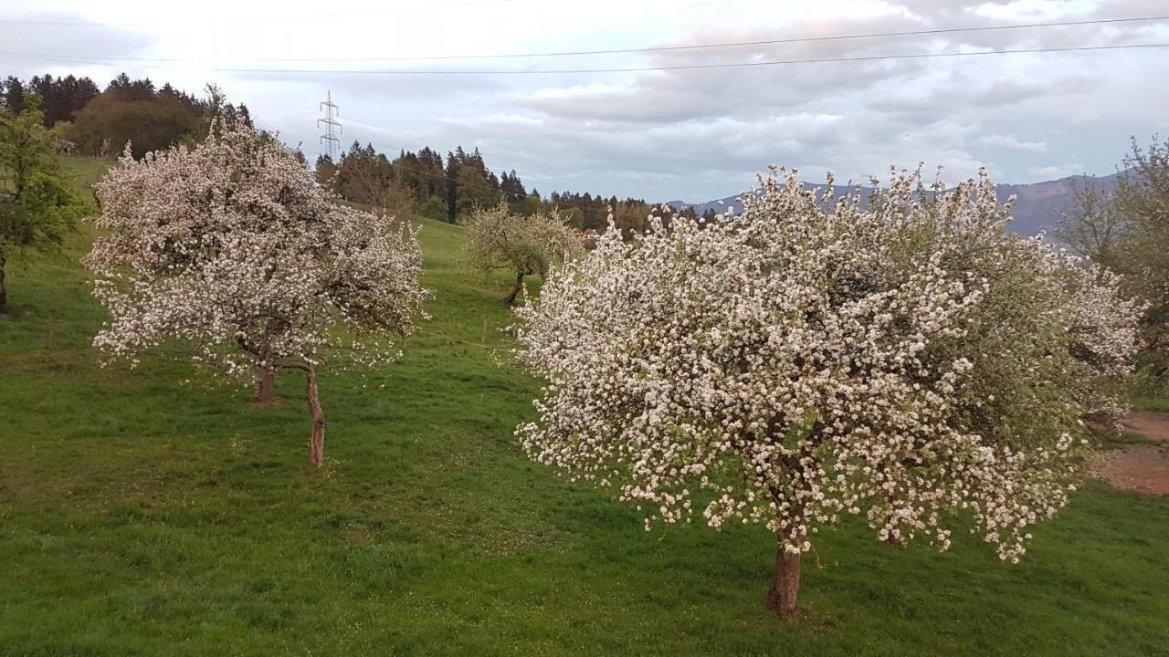 Ferienwohnungen Klimbacher Wolfsberg Buitenkant foto