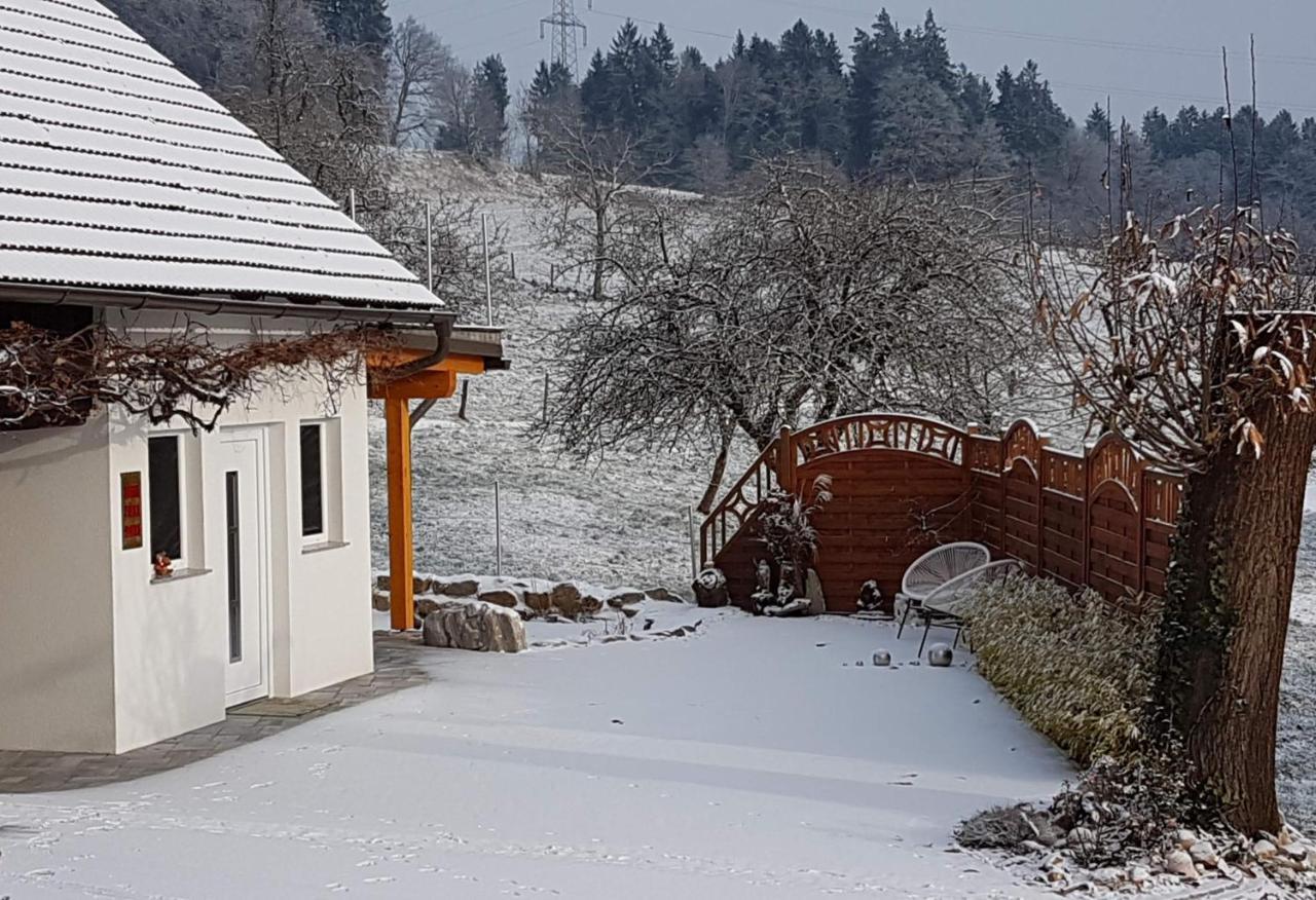 Ferienwohnungen Klimbacher Wolfsberg Buitenkant foto