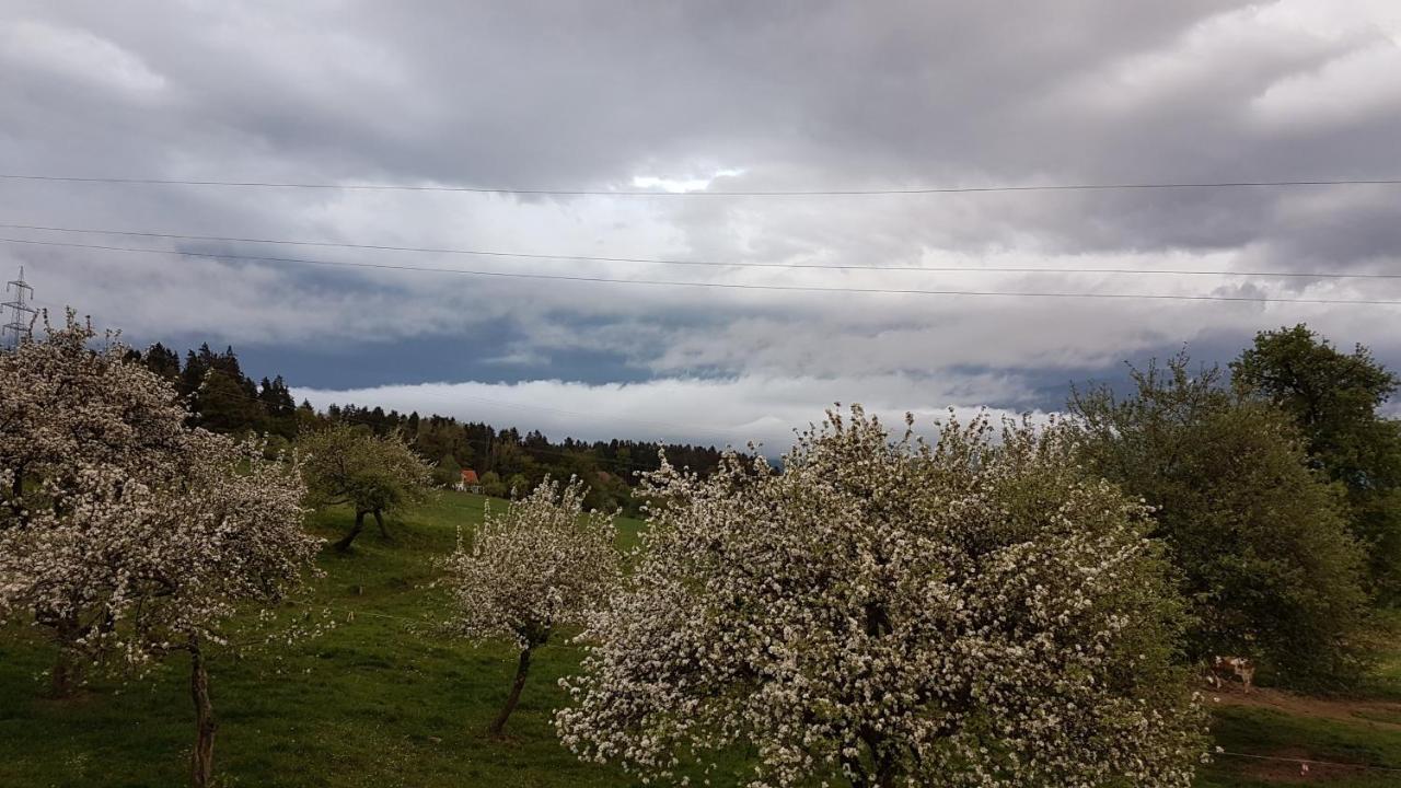 Ferienwohnungen Klimbacher Wolfsberg Buitenkant foto