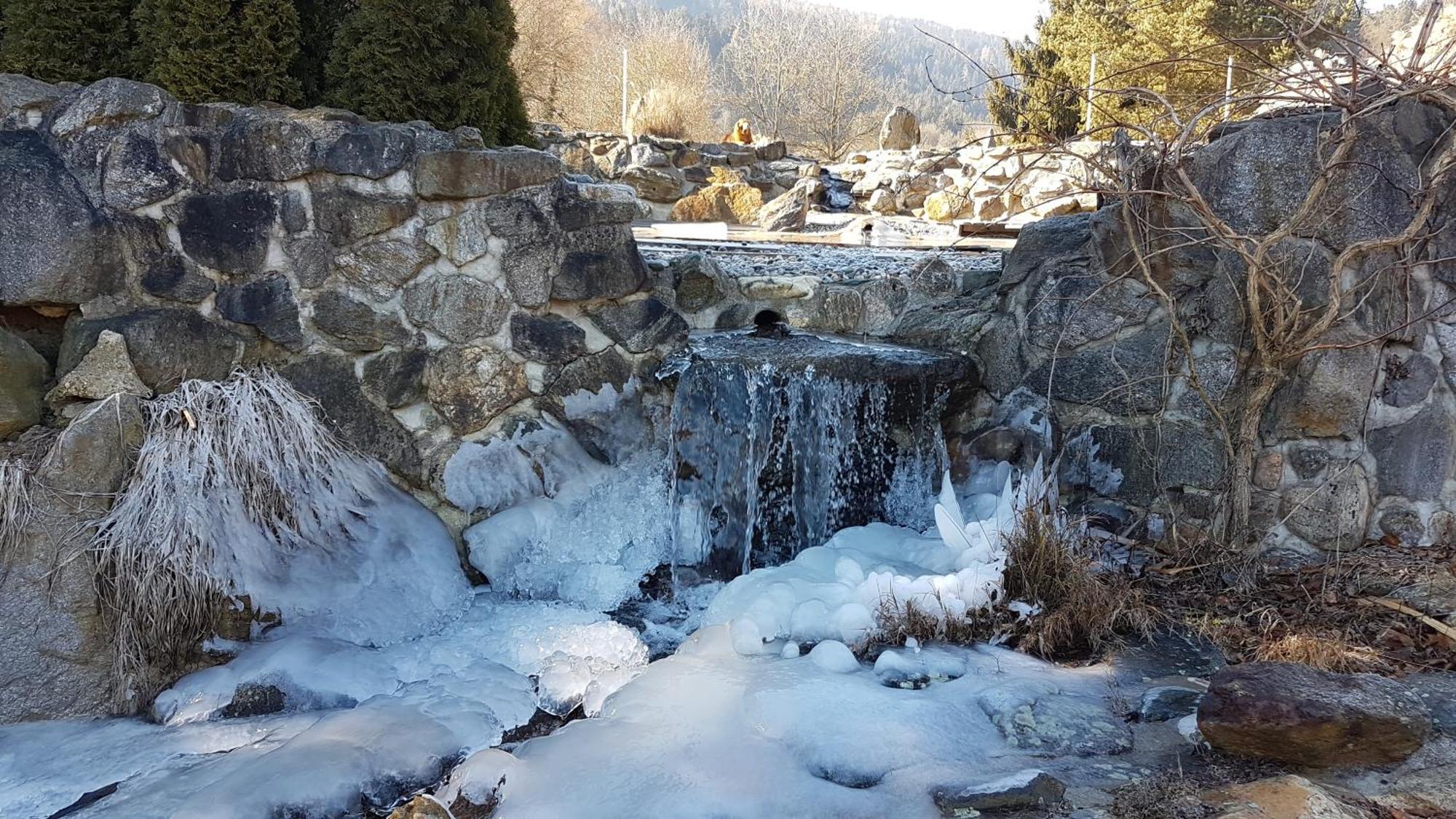 Ferienwohnungen Klimbacher Wolfsberg Buitenkant foto