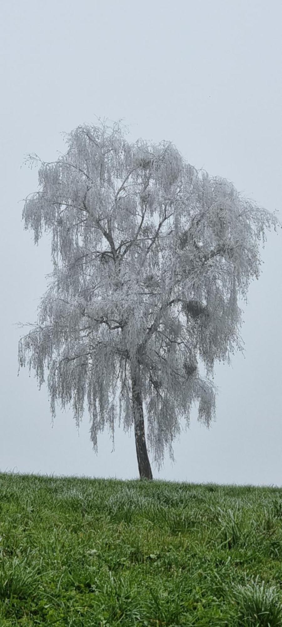 Ferienwohnungen Klimbacher Wolfsberg Buitenkant foto