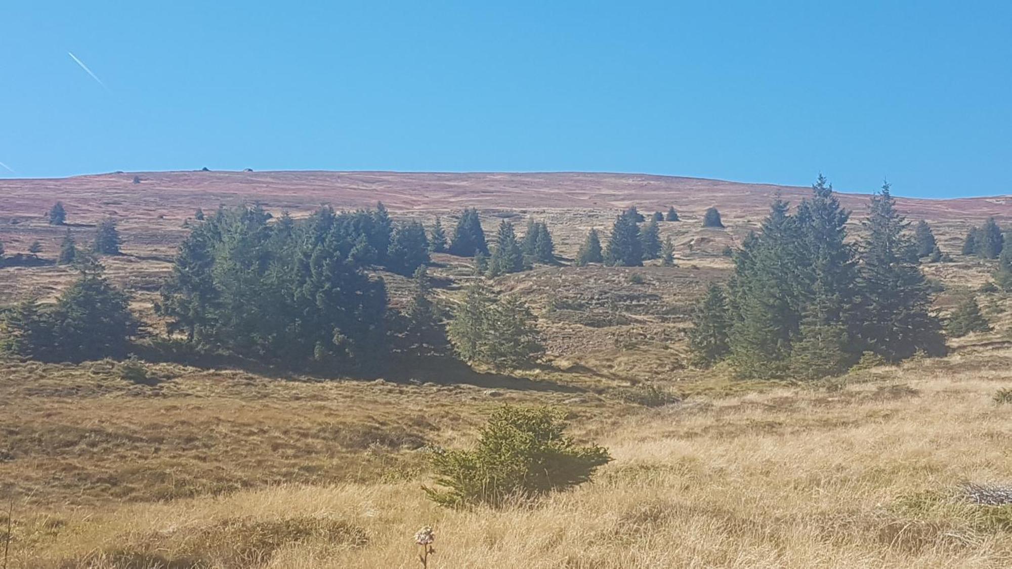 Ferienwohnungen Klimbacher Wolfsberg Kamer foto